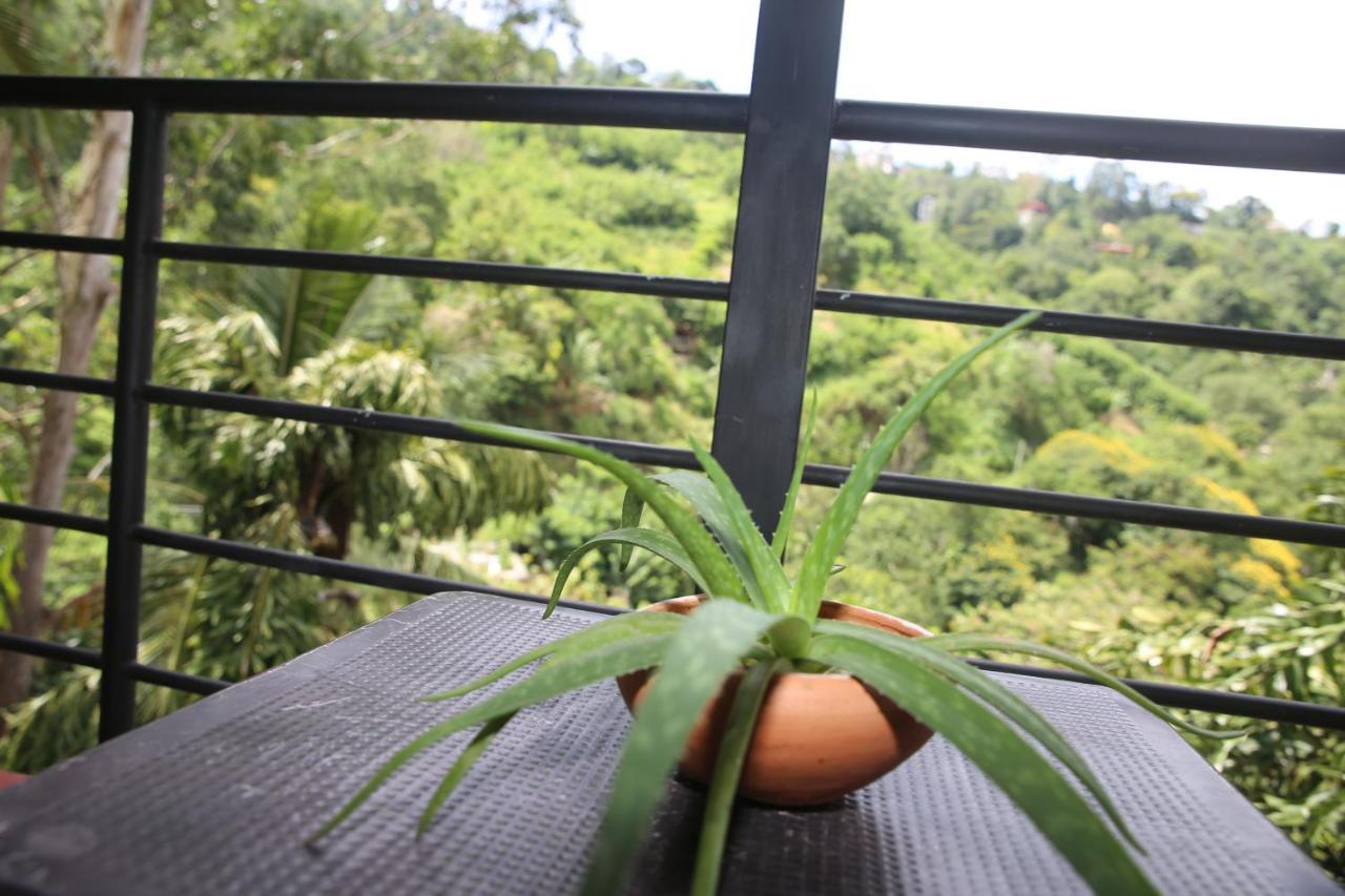 Rawana Mountain View Homestay Ella Exterior photo